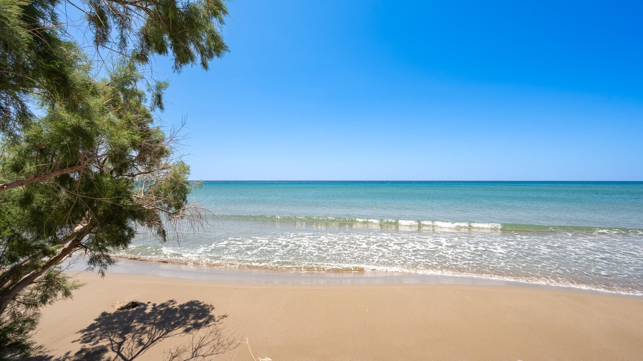 Photo of Others in Kastri