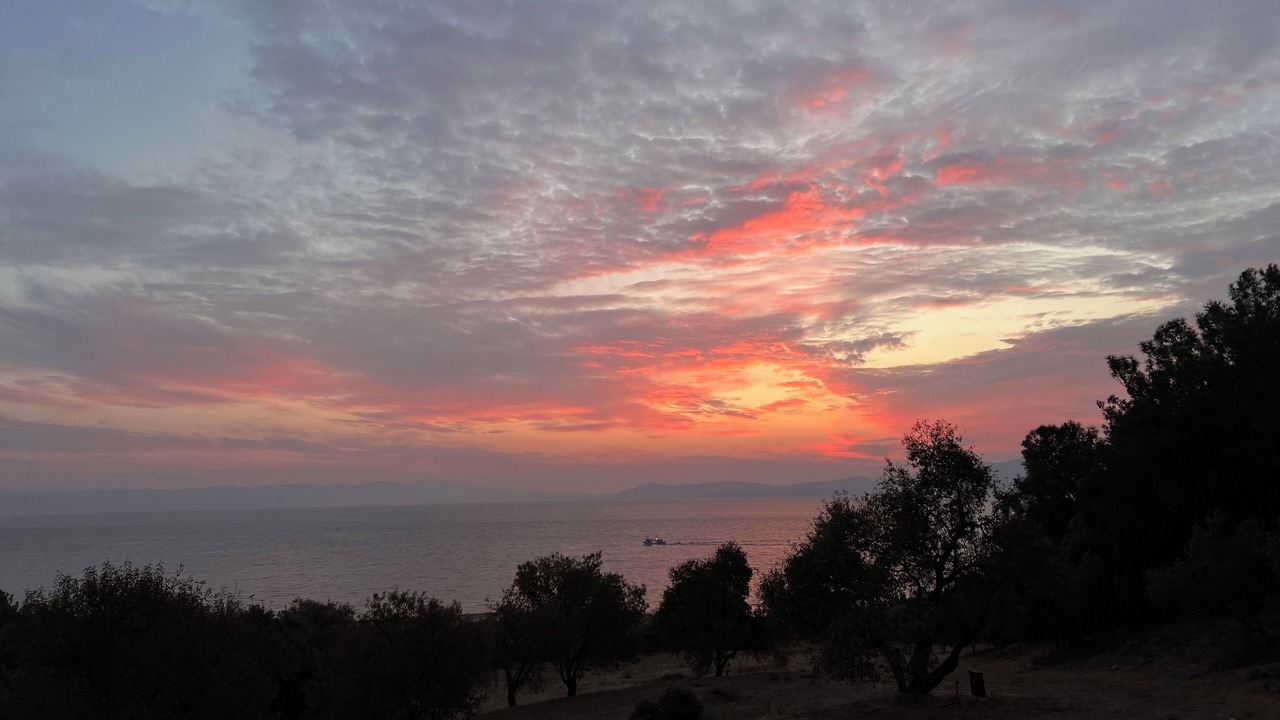 Photo of Others in Mytilene