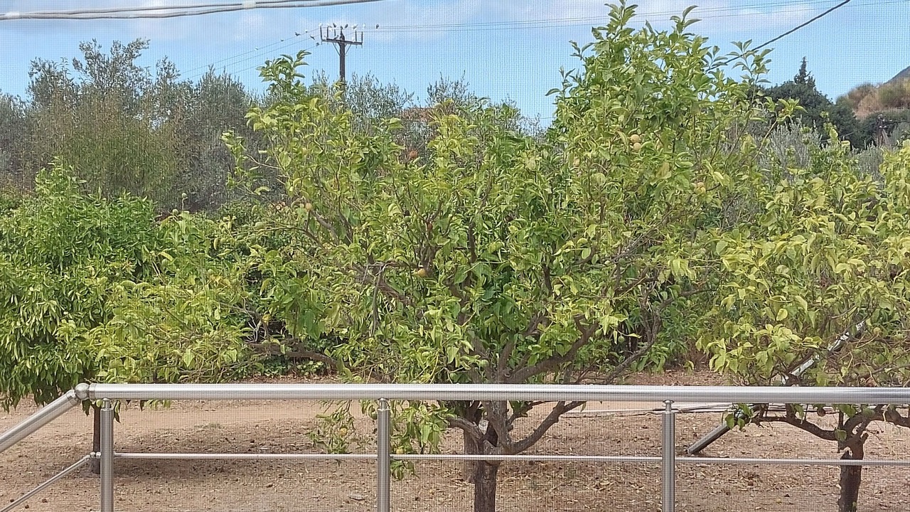 Photo of Outdoor in Vathi
