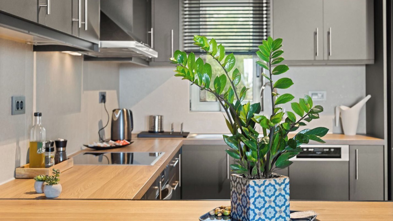 Photo of Kitchen in Lefktron
