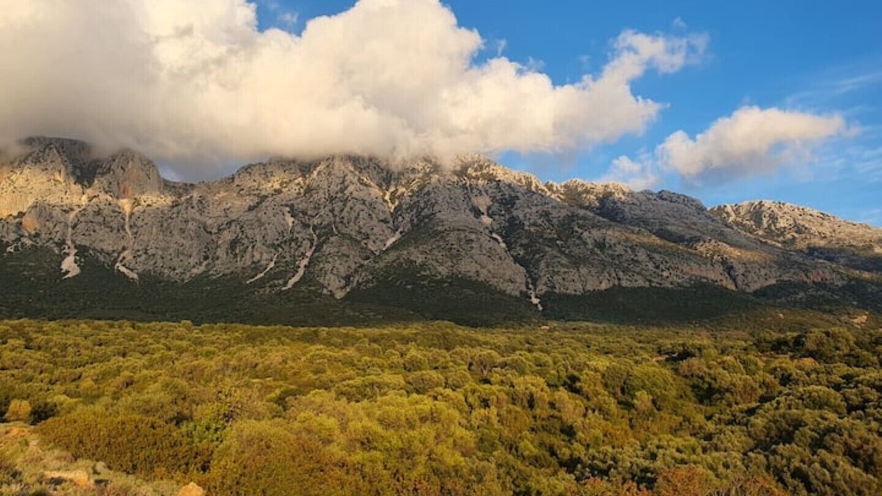 Photo of Others in Aktio-Vonitsa