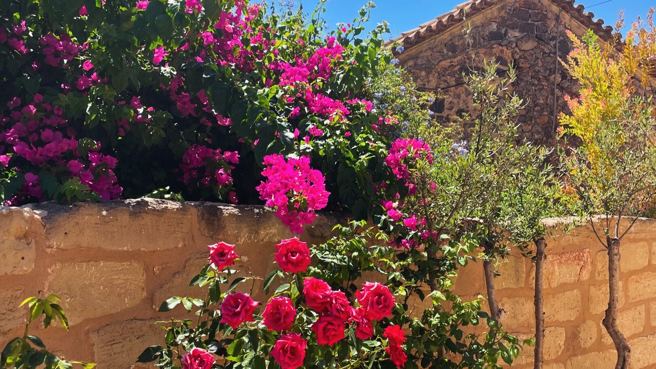 Photo of Outdoor in Kardamyli