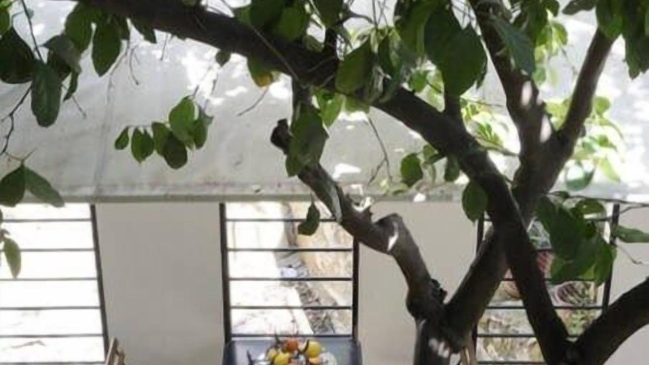 Photo of Outdoor in Pangrati