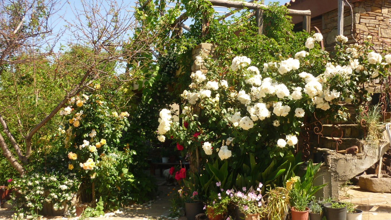 Photo of Outdoor in Lemnos