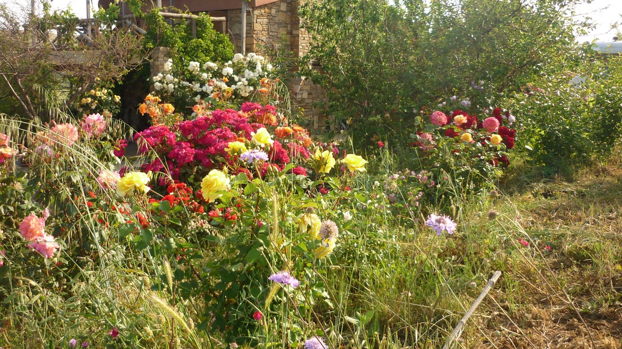 Photo of Outdoor in Lemnos