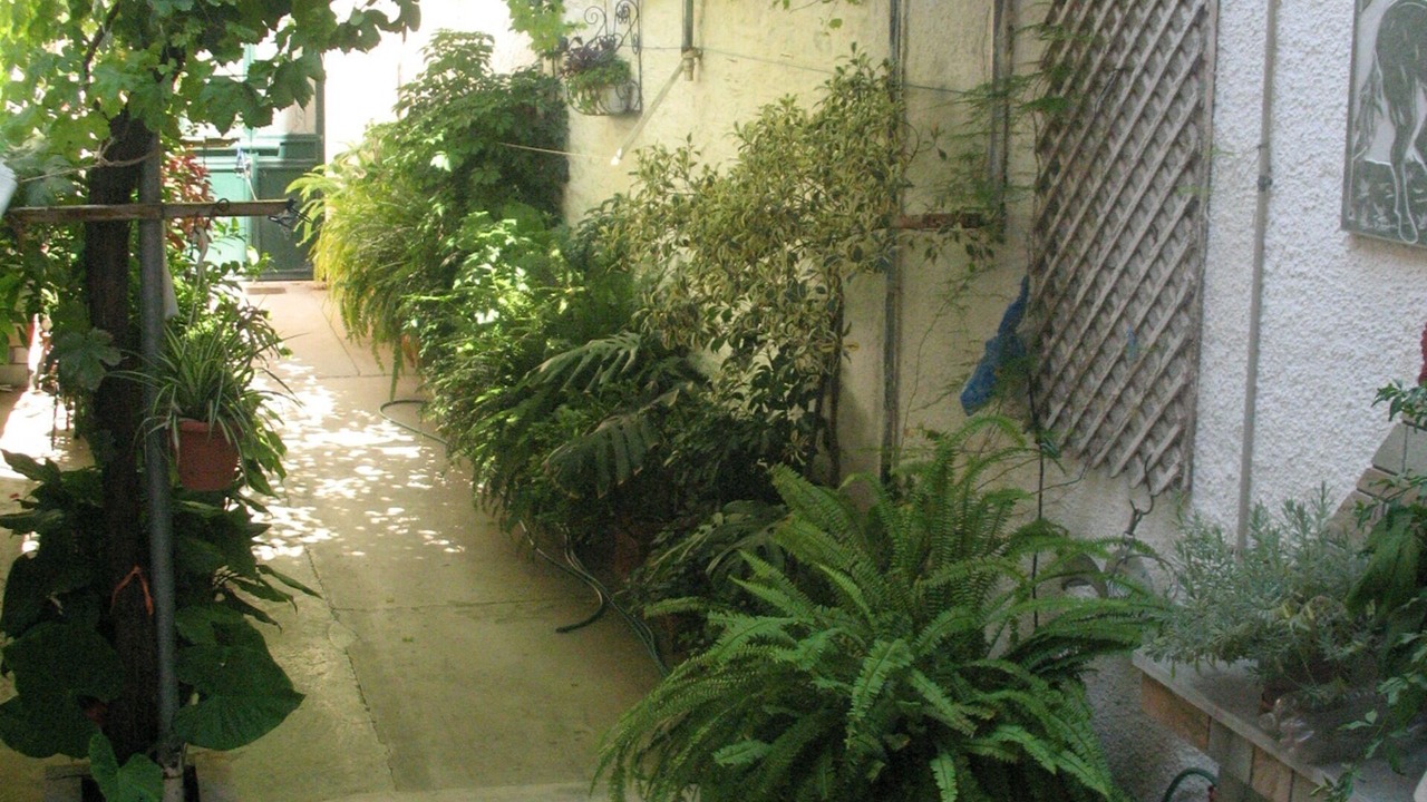 Photo of Outdoor in Keratsini-Drapetsona