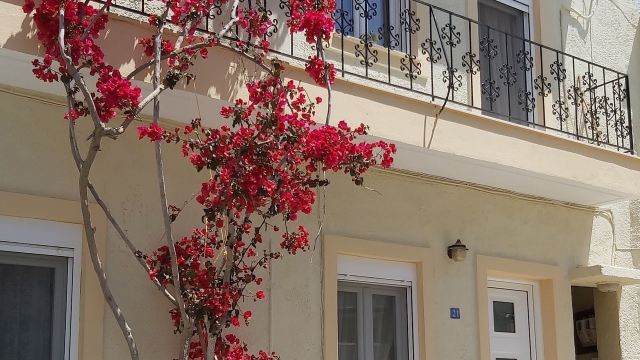 Photo of Outdoor in Old Quarter
