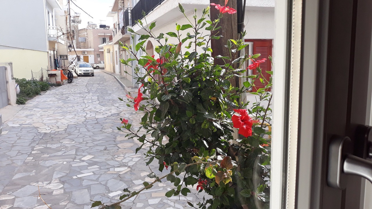 Photo of Others in Old Quarter