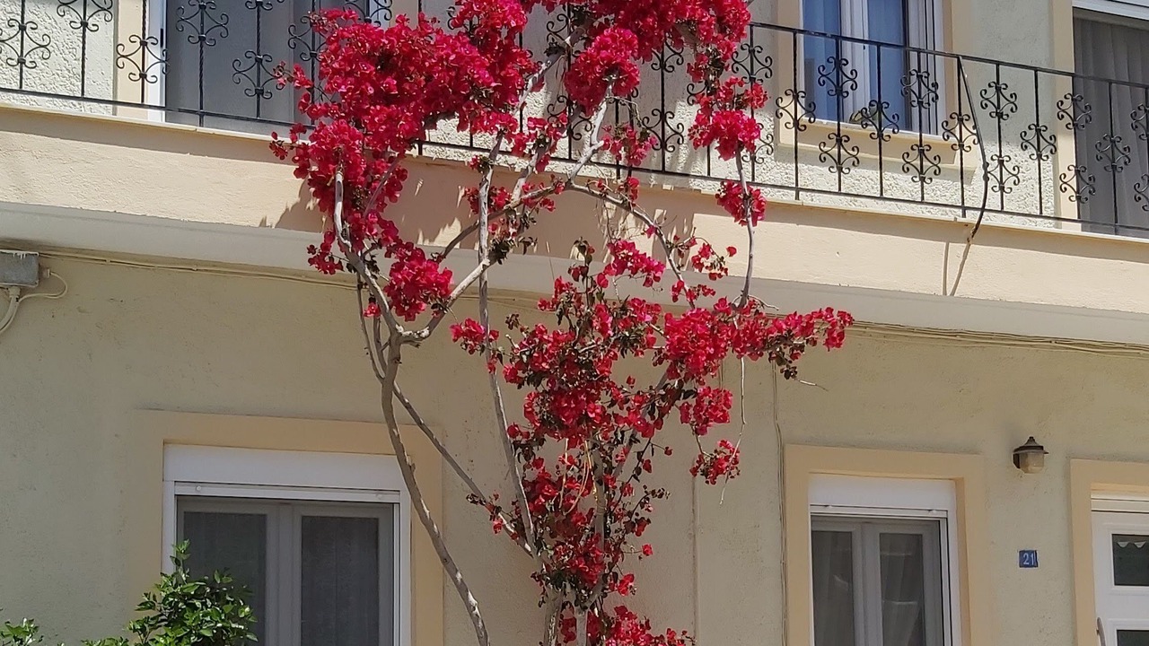 Photo of Outdoor in Old Quarter