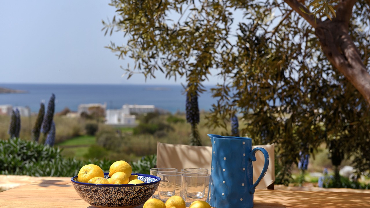 Photo of Patio Balcony in Posidonia