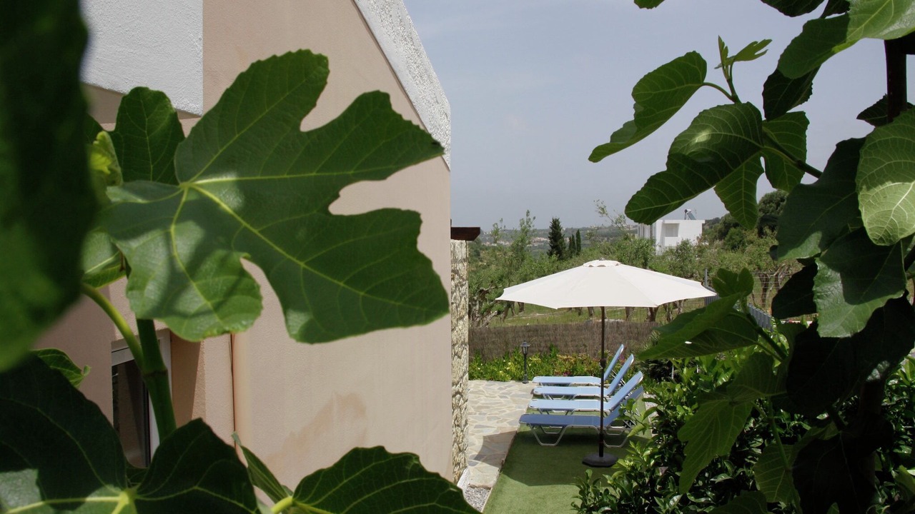 Photo of Outdoor in Loutra