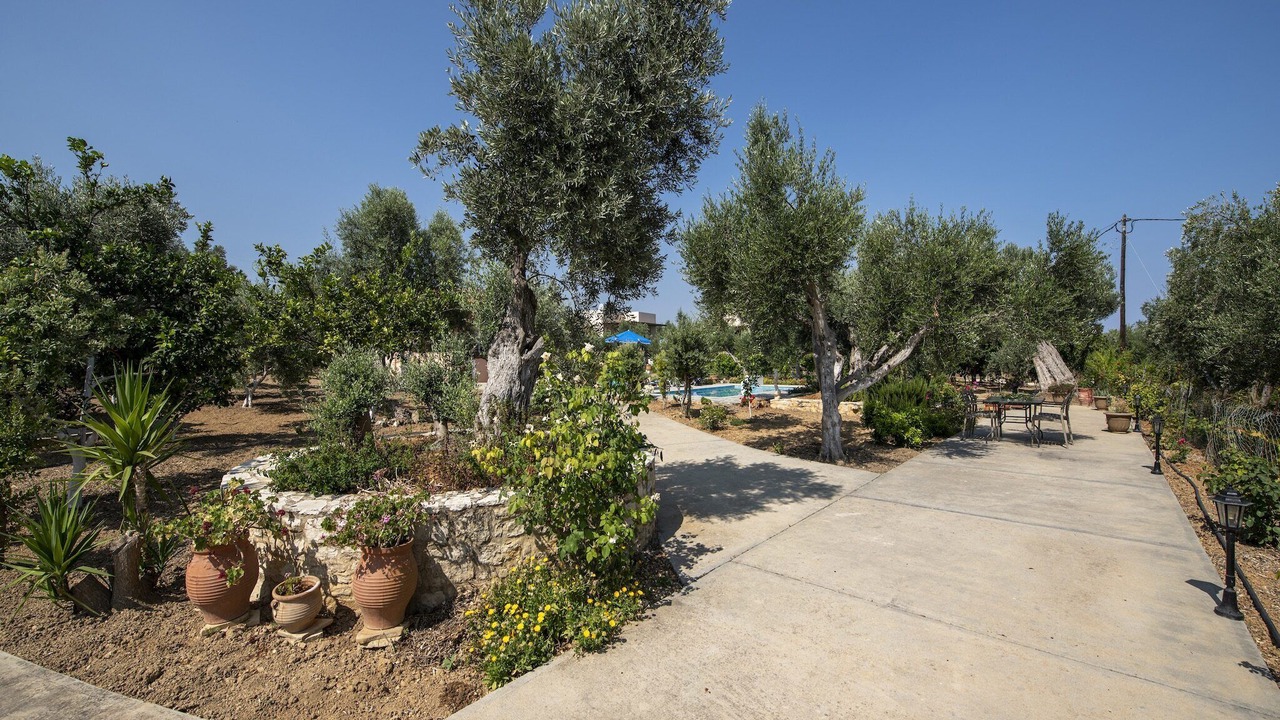 Photo of Others in Asteri