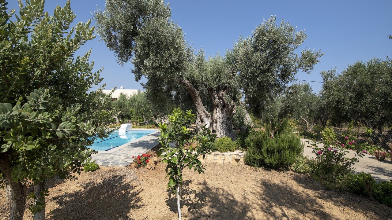 Photo of Outdoor in Asteri