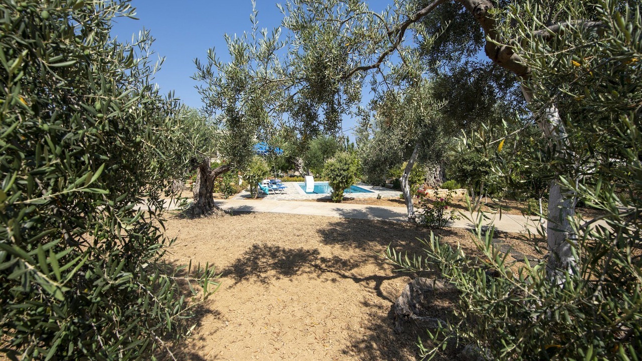 Photo of Outdoor in Asteri