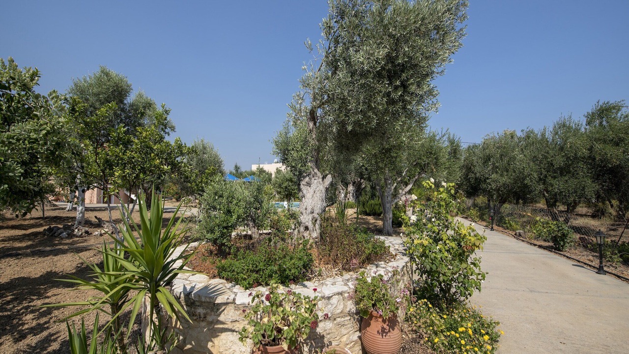 Photo of Outdoor in Asteri