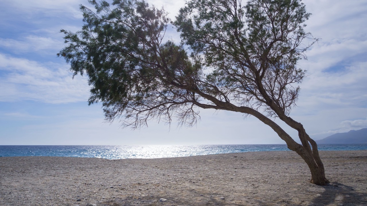 Photo of Others in Triopetra