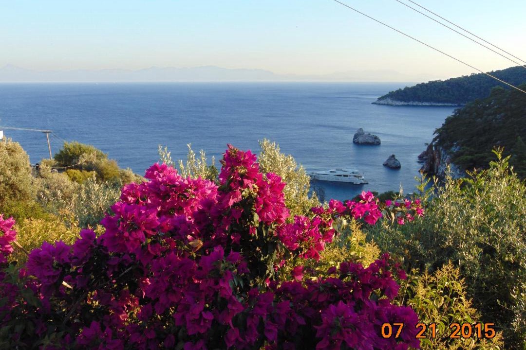Photo of Others in Stafylos