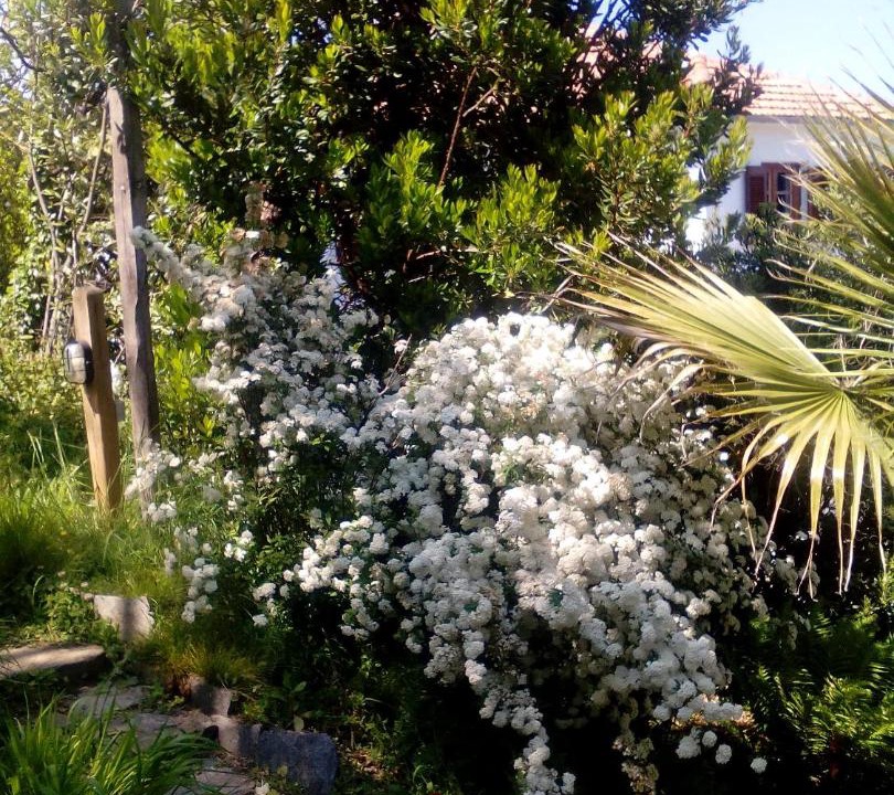 Photo of Outdoor in Lambinou