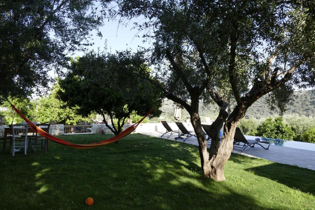 Photo of Outdoor in Vori