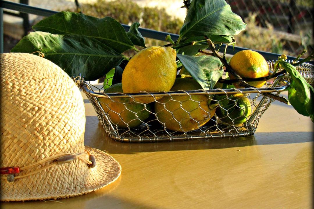 Photo of Patio Balcony in Nikita