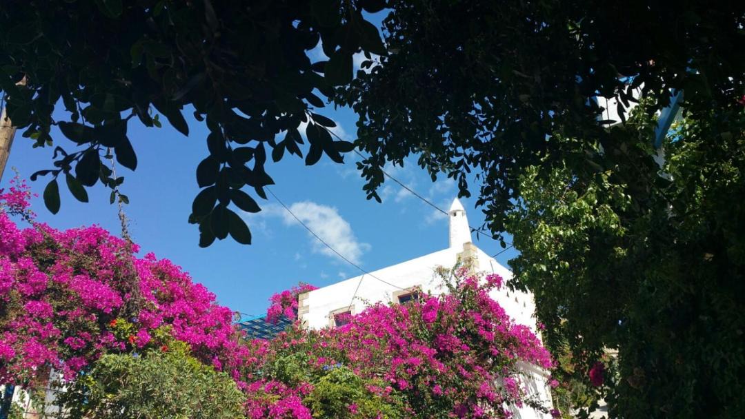 Photo of Outdoor in Kamilari