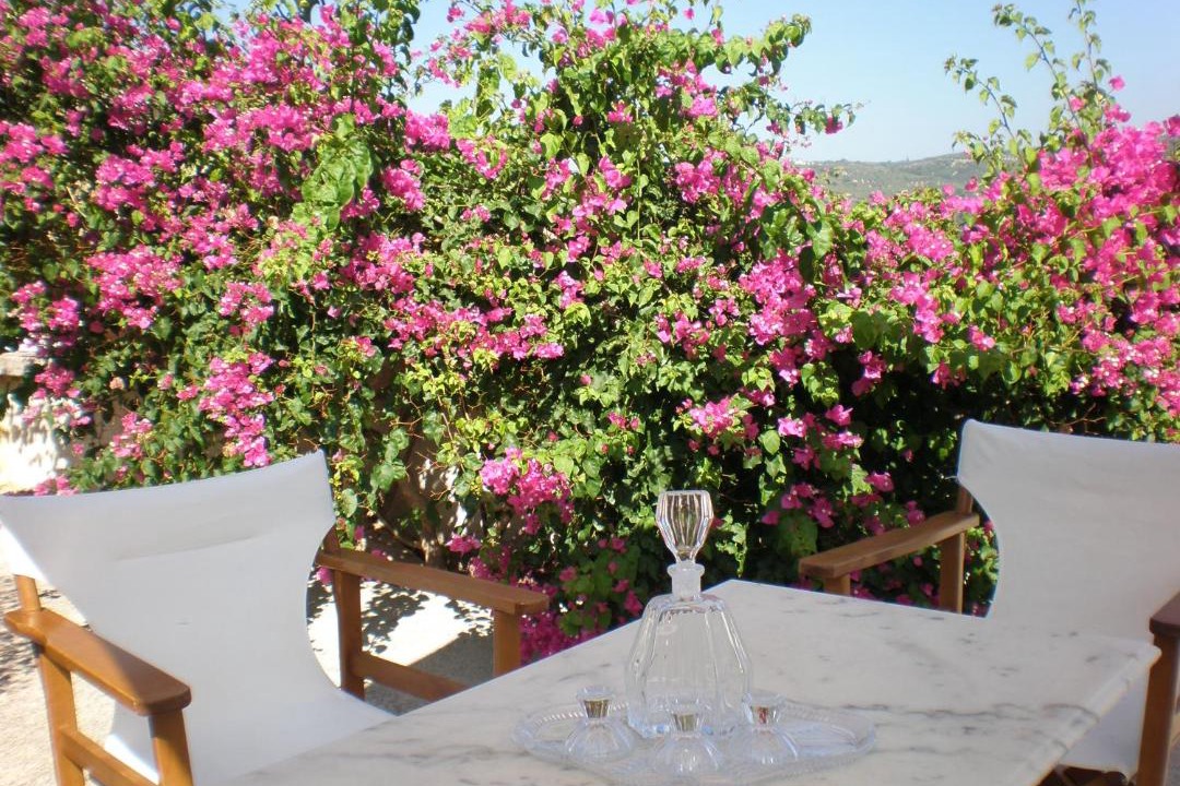 Photo of Others in Voulgaro