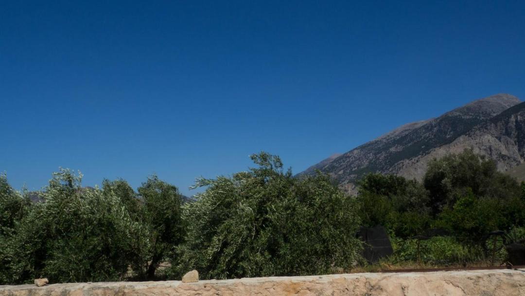 Photo of Others in Nivritos