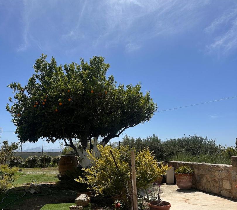 Photo of Others in Nivritos