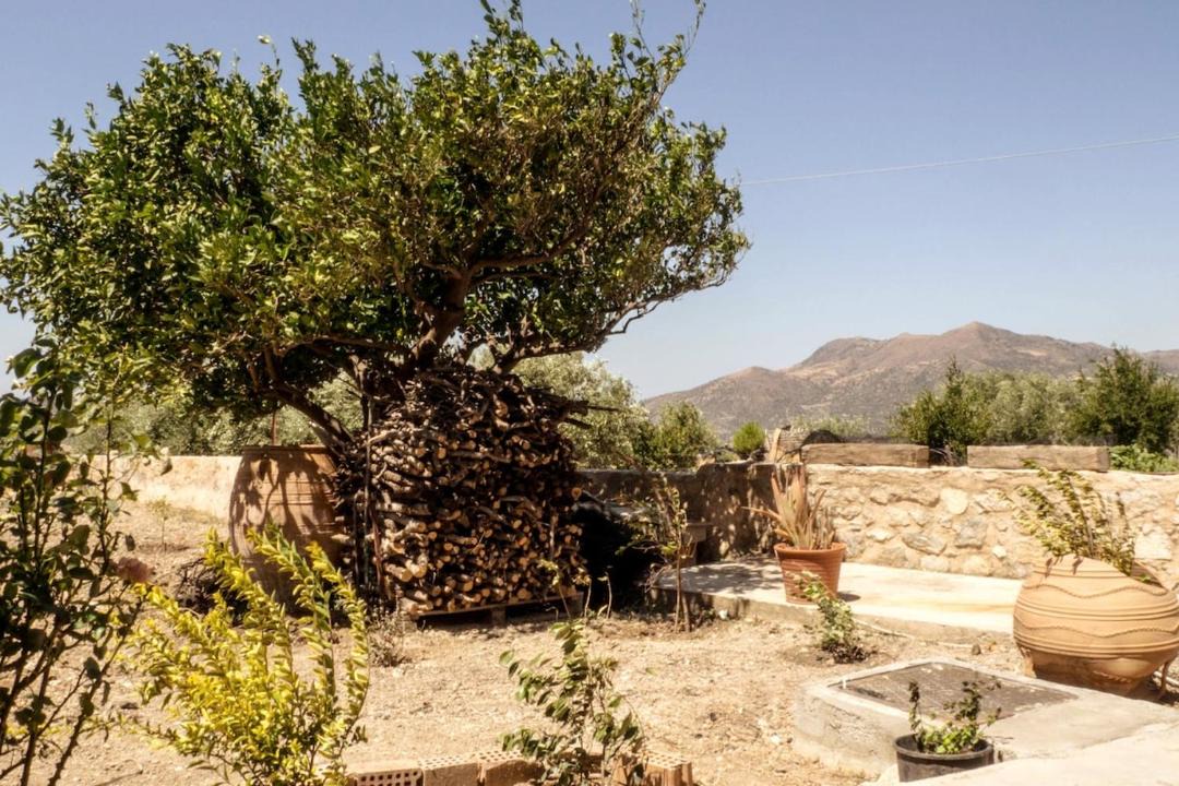 Photo of Others in Nivritos