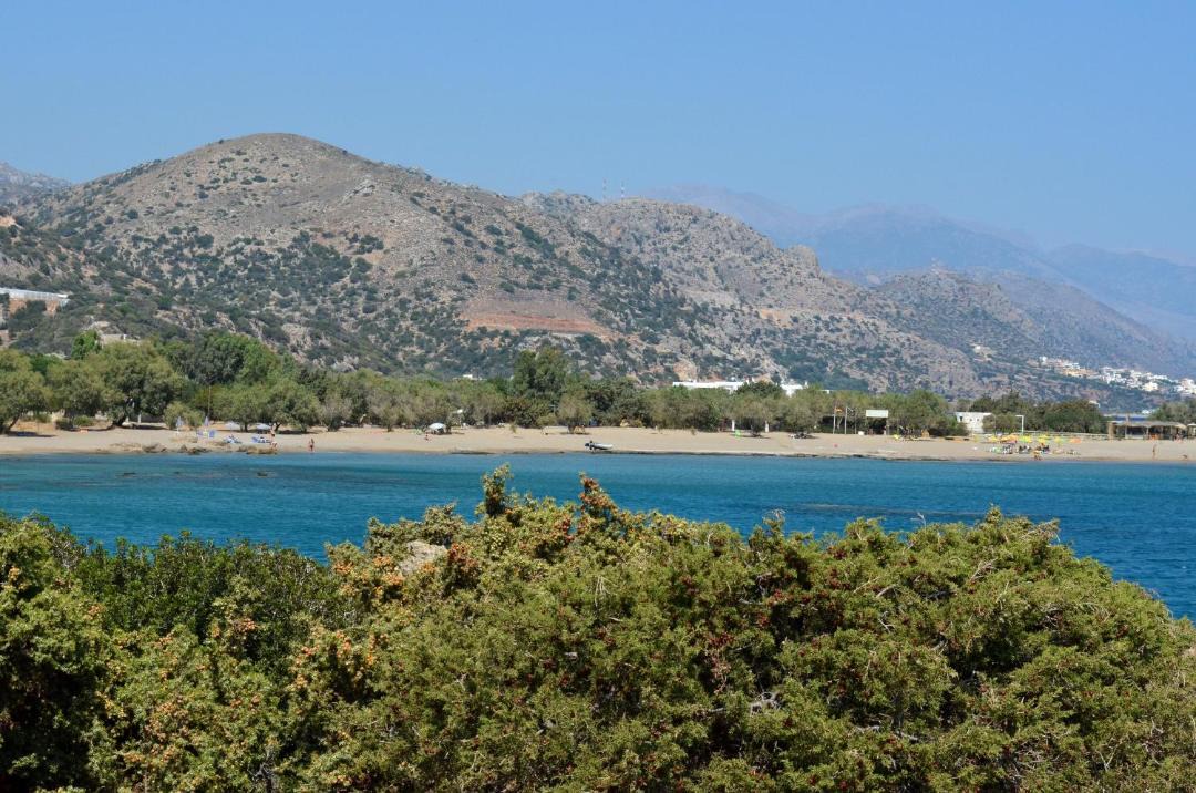 Photo of Others in Gialos