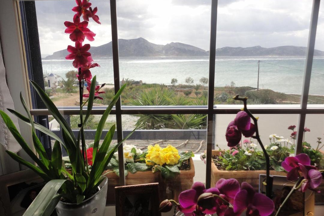 Photo of Others in Koufonisia