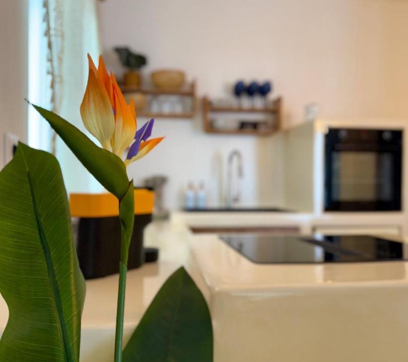 Photo of Kitchen in Ios