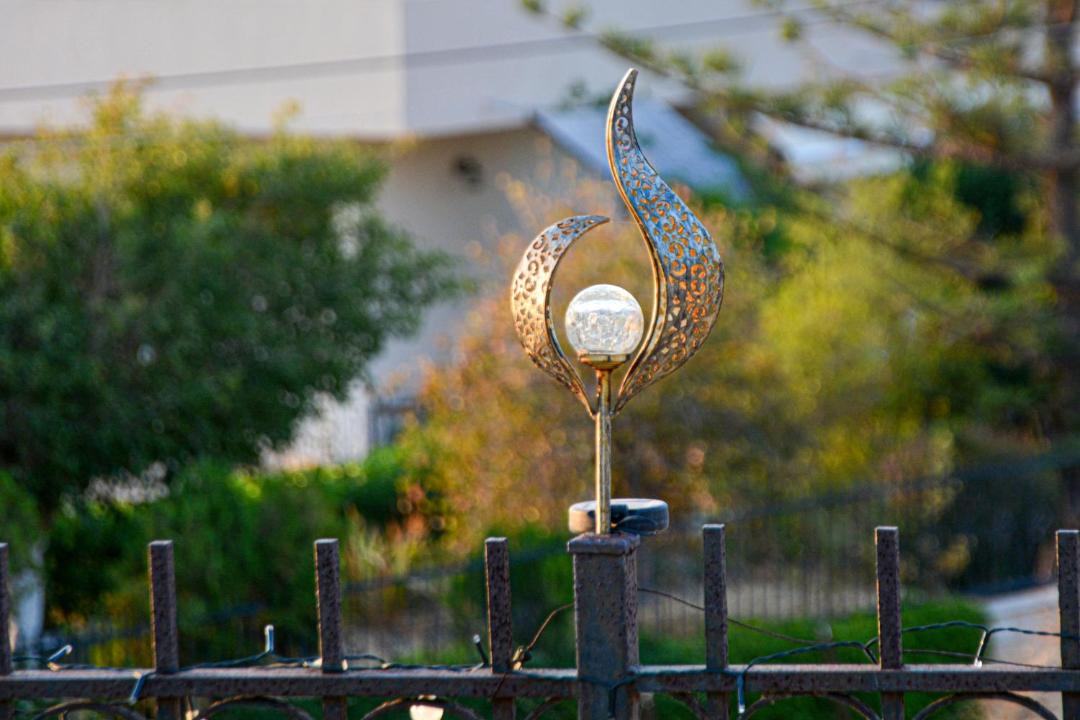 Photo of Others in Elaia