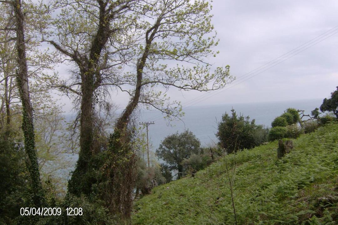 Photo of Others in Agios Ioannis