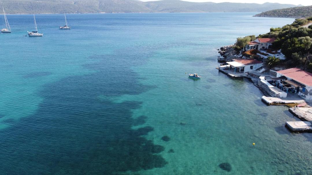 Photo of Others in Poseidonio