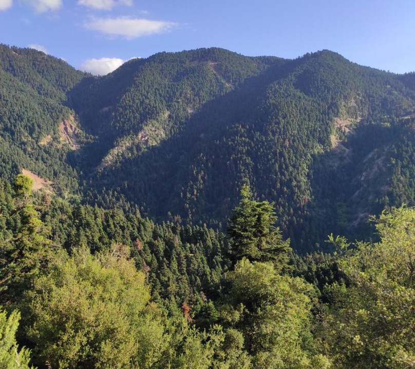 Photo of Others in Karpenisi