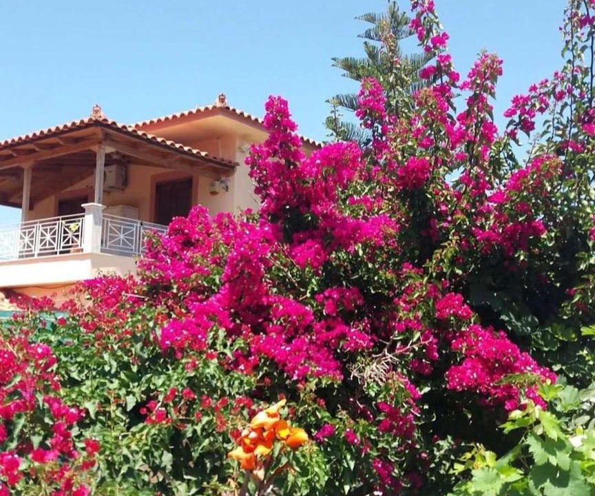 Photo of Others in Livadi