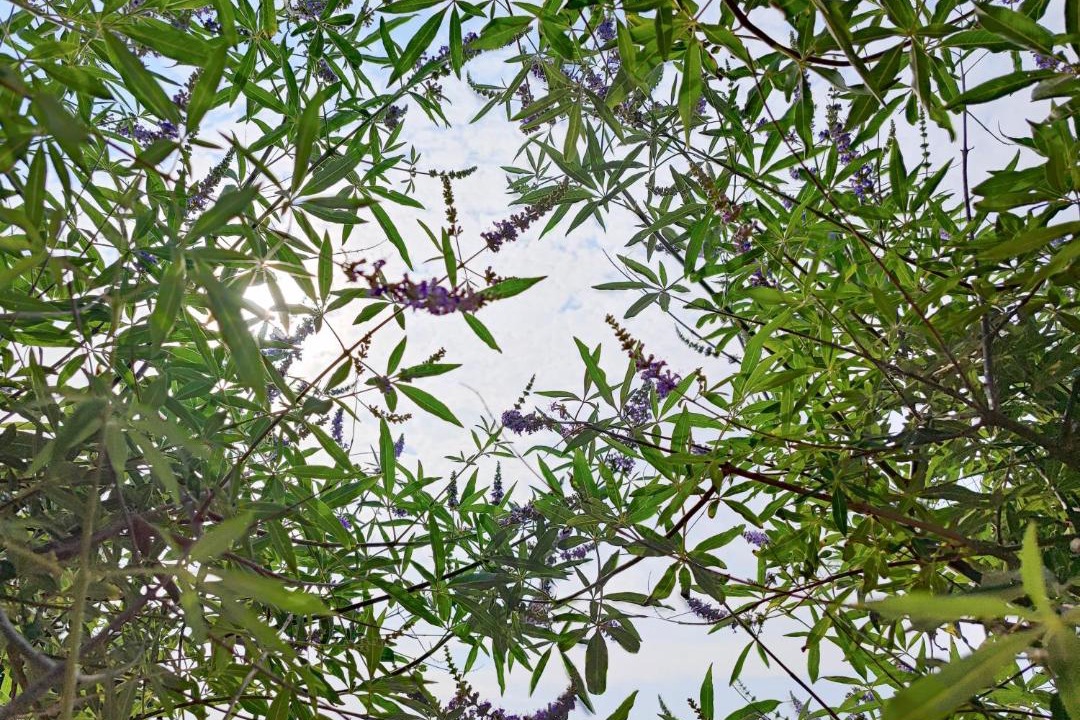 Photo of Outdoor in Mantamados