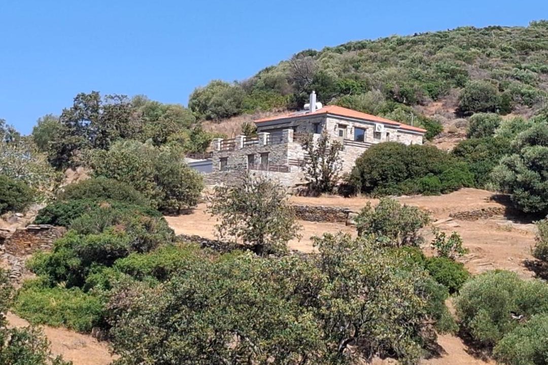 Photo of Others in Nea Styra