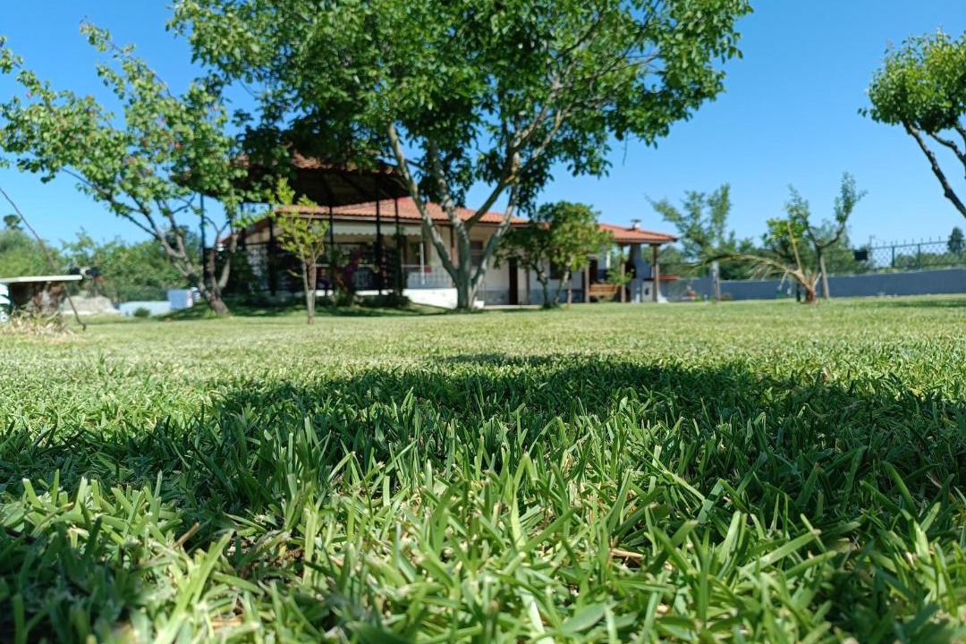 Photo of Outdoor in Kallikratia