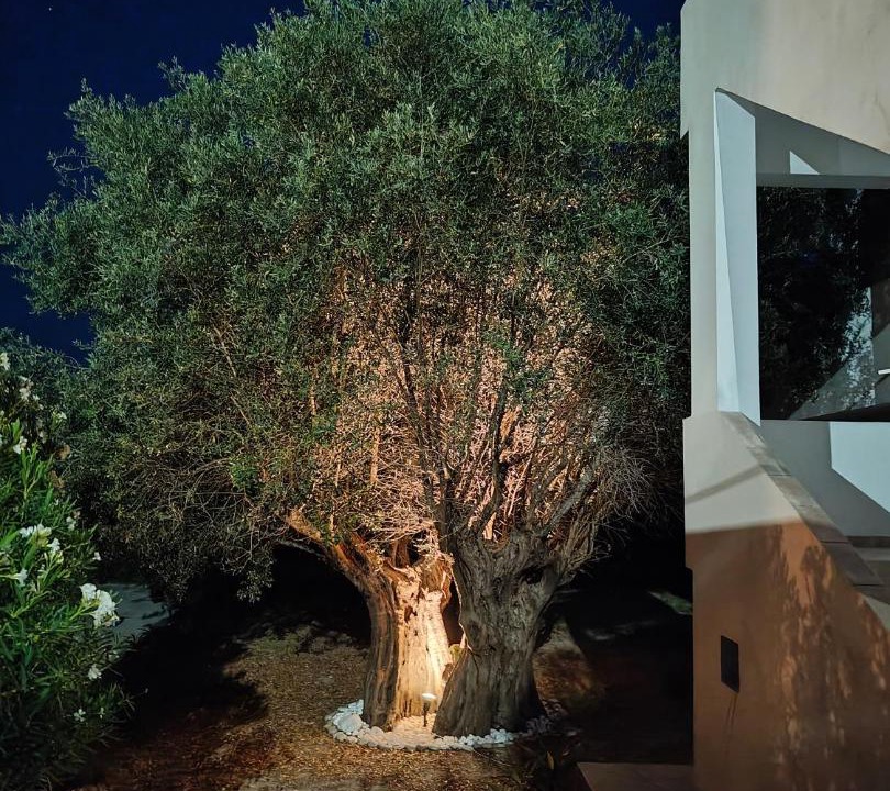 Photo of Others in Afandou