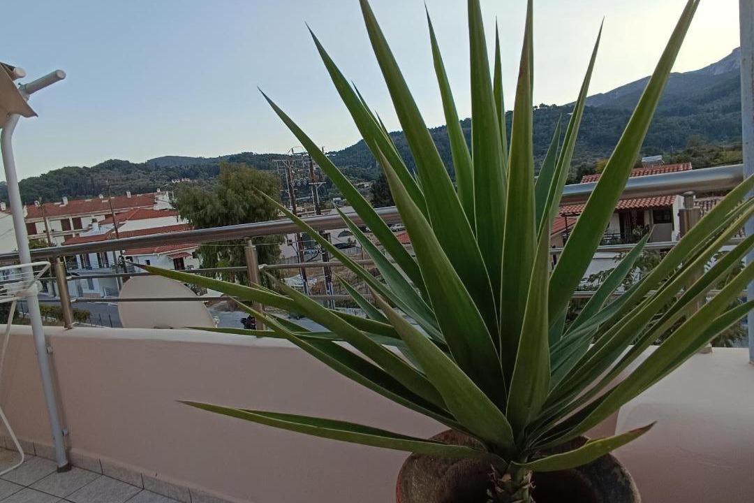 Photo of Patio Balcony in Kokkari
