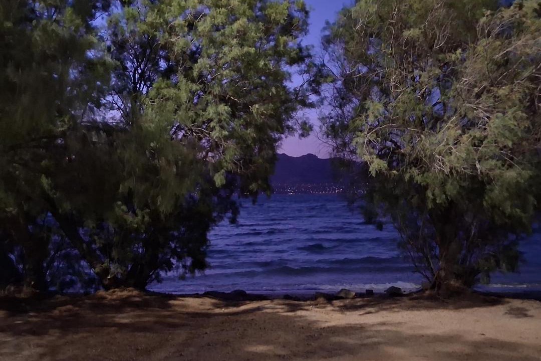 Photo of Others in Salamis