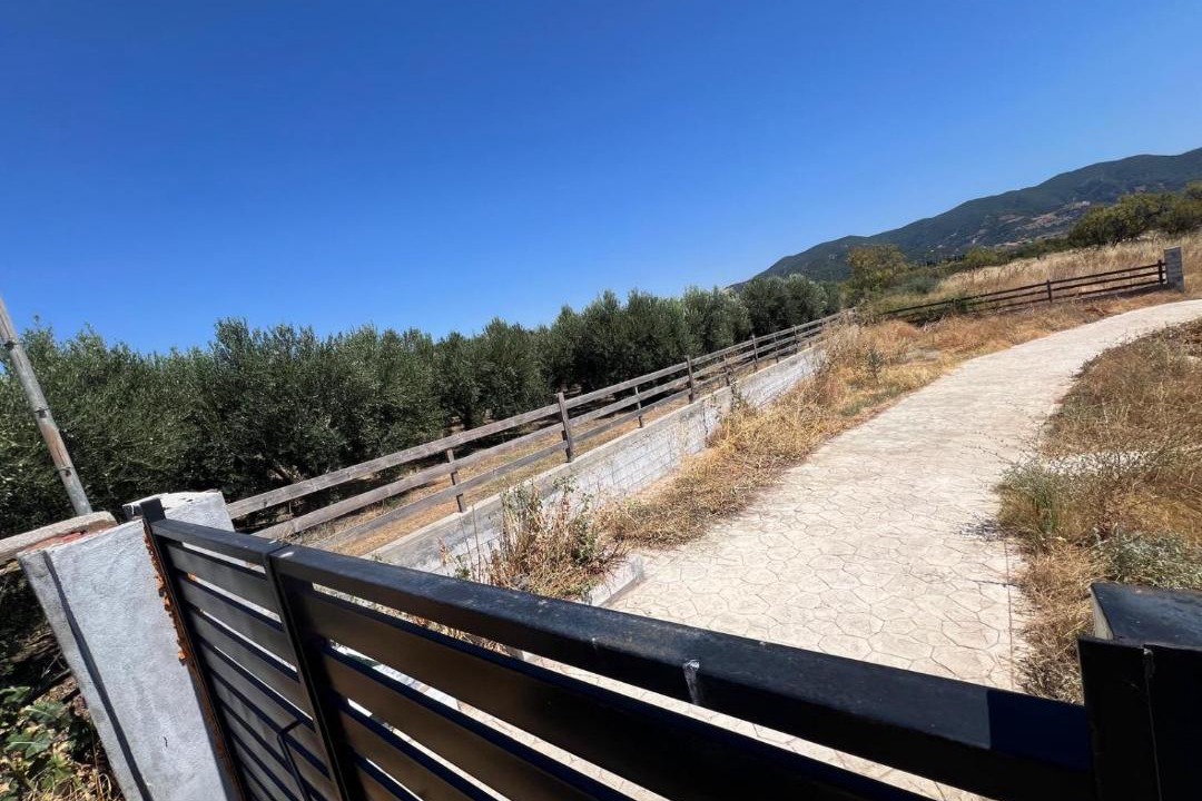 Photo of Others in Amphipolis