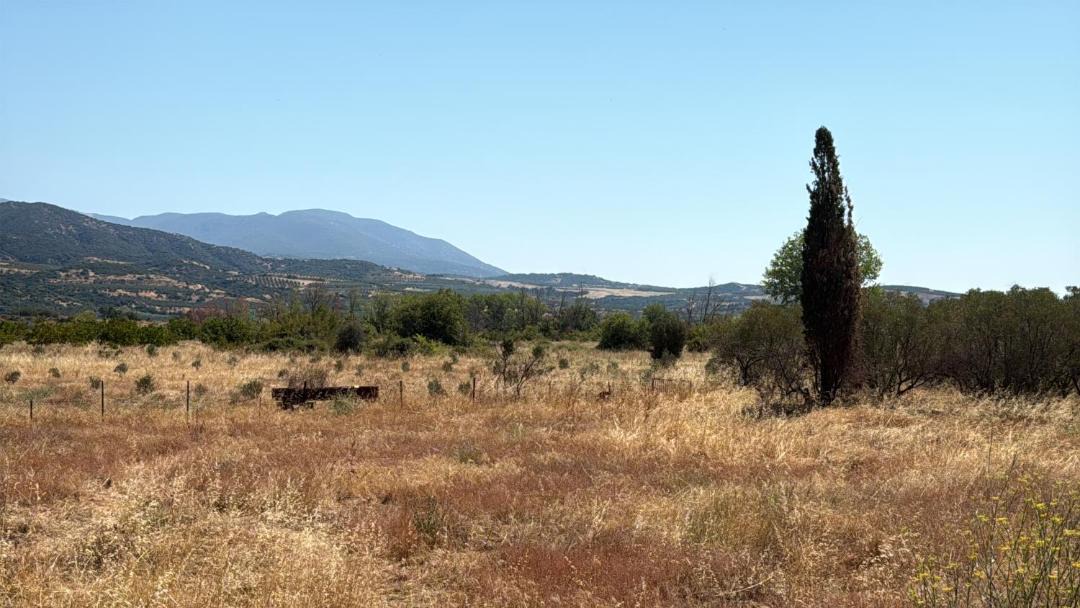 Photo of Others in Amphipolis