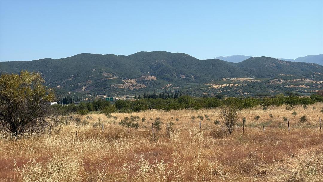 Photo of Others in Amphipolis