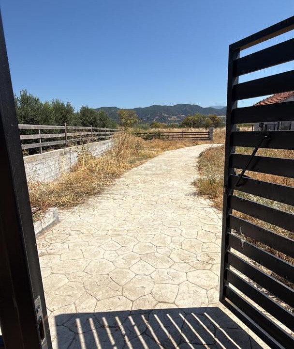 Photo of Others in Amphipolis