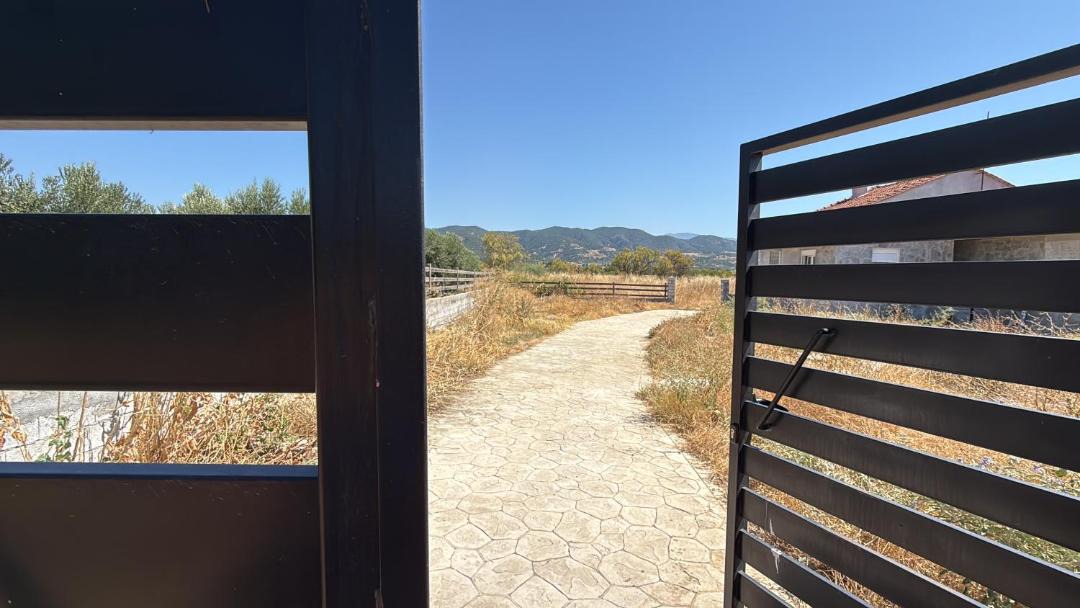 Photo of Others in Amphipolis