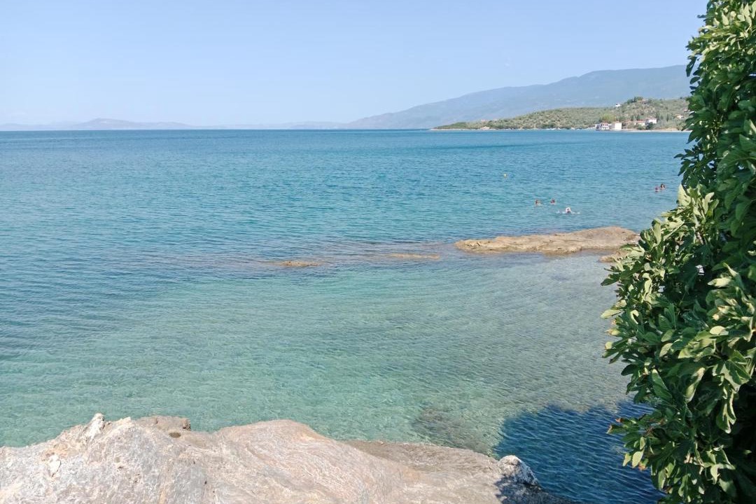 Photo of Others in Kalamos