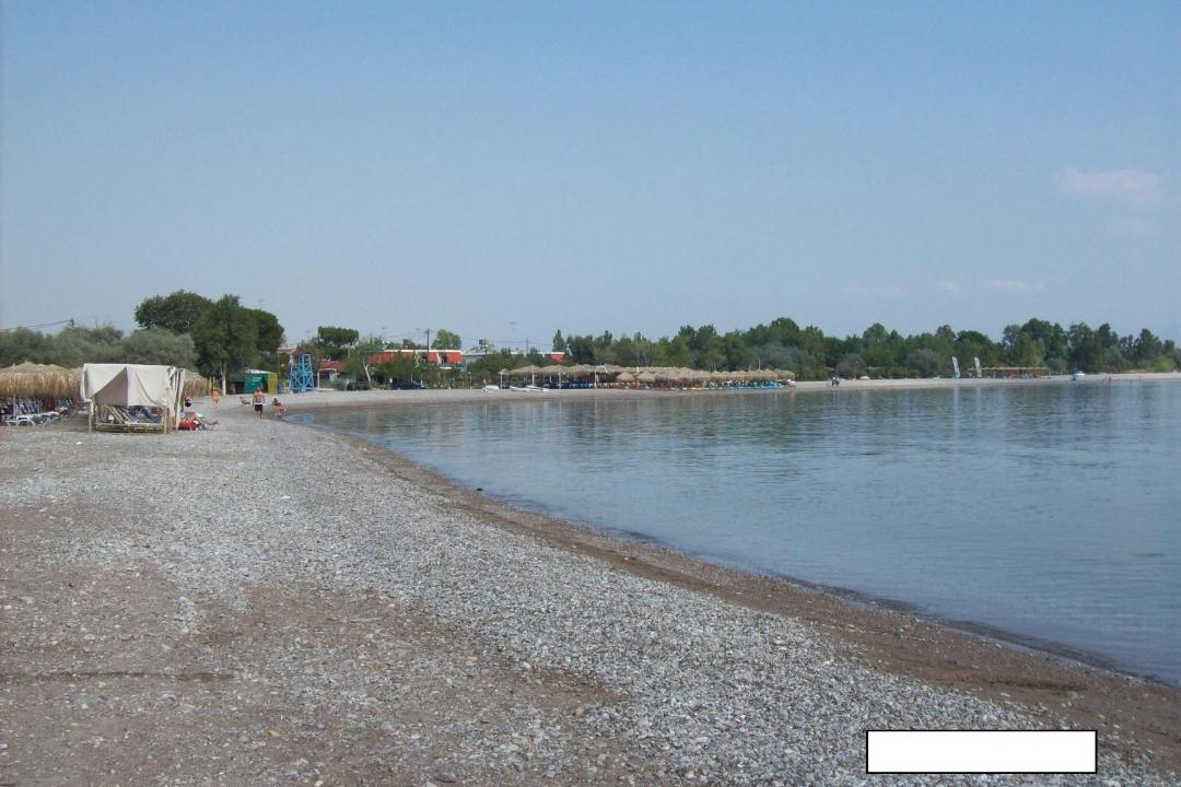 Photo of Others in Nikolaiika
